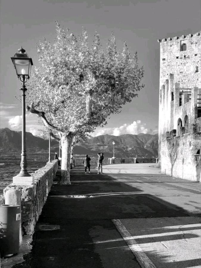 Garda Dreams Apartment Torri Del Benaco Extérieur photo